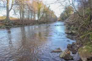 Fishing Rights to the North of Peakfield, Frosterley
