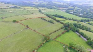 Lot 2, Land at Hamsterley, County Durham