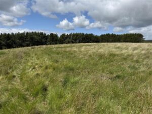Land at Hareshaw, Bellingham