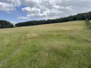 Lot 2, Land at Coalburns, Ryton
