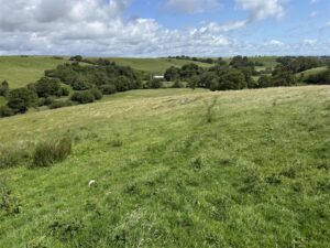 Land at Halton Lea Gate, Northumberland