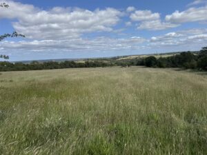 Lot 1, Land at Coalburns, Ryton