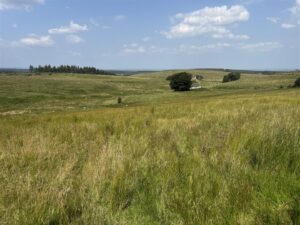 Land at Middleburn Farm, Simonburn