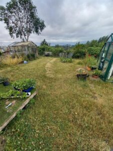Allotments 6 & 7 Broken Banks Allotments